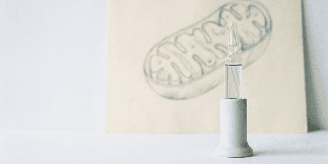 Clear dropper bottle on a white stand with a faint capsule sketch in the background, beige and pale tones overall.