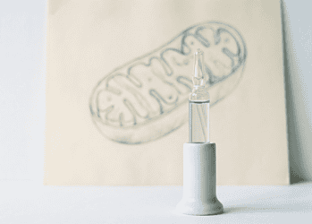 - VeyrZest.com Clear dropper bottle on a white stand with a faint capsule sketch in the background, beige and pale tones overall.