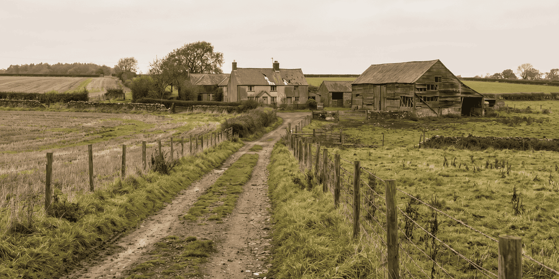 - VeyrZest.com Dirt country road leads to a stone farmhouse with a weathered barn on a grassy farm under an overcast sky.
