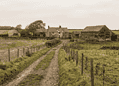 Dirt country road leads to a stone farmhouse with a weathered barn on a grassy farm under an overcast sky.